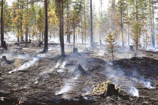 This picture taken on Thursday shows the aftermath of a wildfire in Alvdalen, central Sweden.