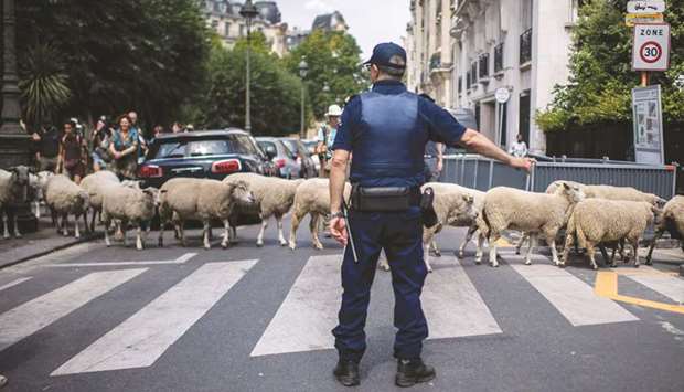 A policeman stands at a pedestrian passage as sheep cross the street in Paris yesterday.