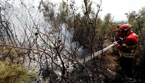Firefighters put out a forest fire near the village of Vila de Rei.