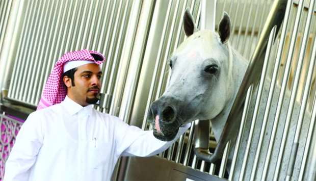 Fahad al-Marri, with an Arabian horse at Al Shaqab. PICTURE: Jayan Ormarn