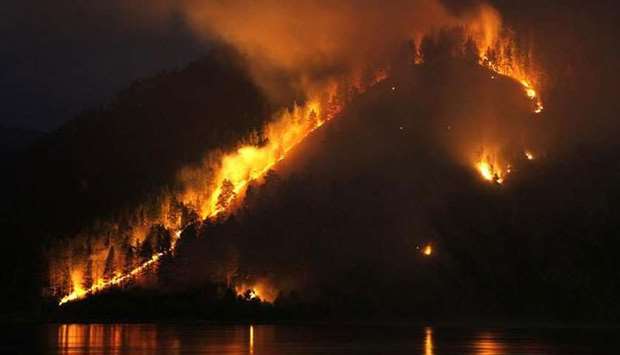 Dry grass, bushes and trees burn on the bank of the Yenisei