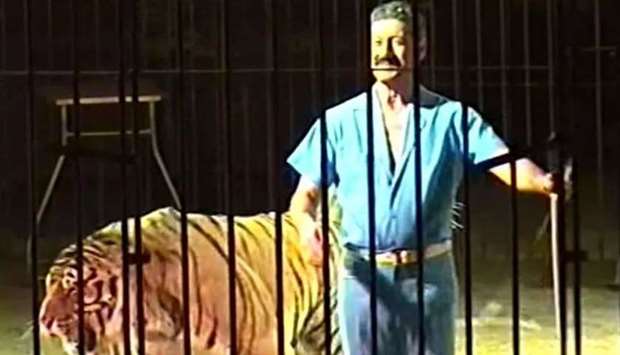 Ettore Weber trains a tiger in its cage. File picture
