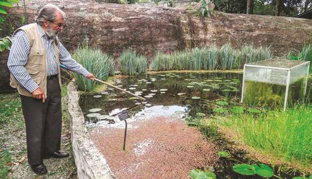 Botanist Alberto Gomez cleans a lake at the botanical garden in Quindio, Colombia.