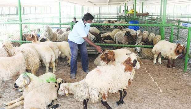 A livestock market in Al Mazrouah ahead of Eid al-Adha. PICTURE: Shaji Kayamkulam