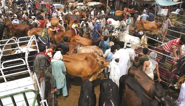 People gather at a cattle market set to buy sacrificial animals ahead of Eid al-Adha  in Lahore yesterday.