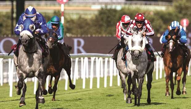 His Highness Sheikh Mohamed bin Khalifa al-Thaniu2019s Ebraz won the Qatar International Stakes (Group 1 PA) last year, before grabbing the Qatar Arabian World Cup in Paris and His Highness The Amir Sword in Doha to bag the Doha Triple Crown.