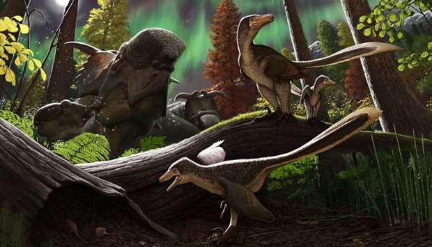 ILLUSTRATION: Artistic rendering of a juvenile dromaeosaur 70 million years ago on the Prince Creek Formation in northern Alaska.