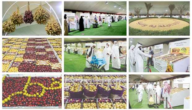 With the participation of around 80 farms from across Qatar, the festival is organised by the Ministry of Municipality and Environment (MME) and Souq Waqif management.