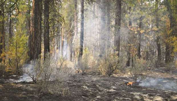 Hotspots smoulder amid scorched trees in the northwestern section of the Bootleg Fire, which has expanded to over 212,000 acres, in Klamath Falls, Oregon.