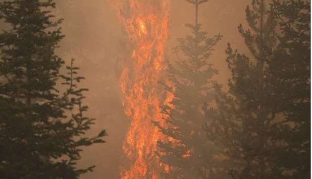 The Bootleg fire burns through vegetation near Paisley, Oregon.