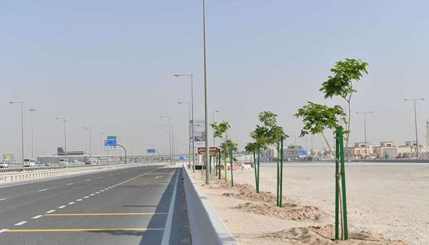 The project works include planting 4,477 trees along 23 km of Al Shamal Road in both directions