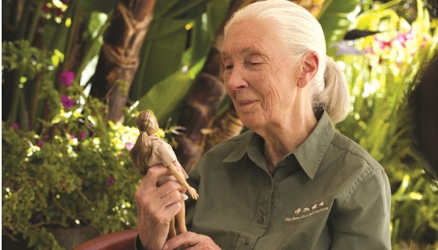 A handout picture shows primatologist Jane Goodall holding the new Jane Goodall Barbie doll.