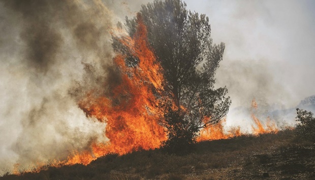 A tree burns yesterday during a wildfire in Tarascon, southeastern France.