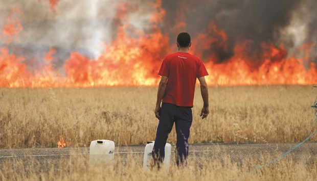 A shepherd watches a fire burning a wheat field between Tabara and Losacio, during the second heatwave of the year, in the province of Zamora, Spain, yesterday. (Reuters)