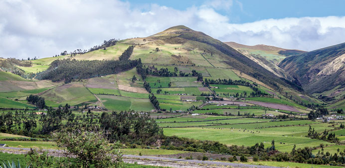 SCENIC: Heritage vegetables flourish with sun, mild climate, volcanic soil and high-elevation fields in Imbabura Province, Ecuador.