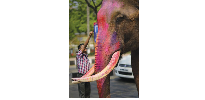 A man stands next to an elephant smeared with colours on the occasion of the Holi festival in Guwahati, Assam yesterday.