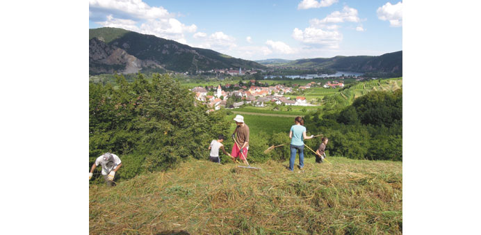 Volunteers in Wachau, Lower Austria. Copyright: Martin Hohla.