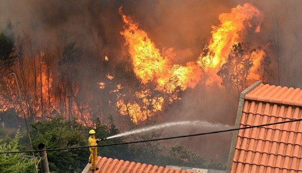 A firefighter stands on a roof of a house and tries to extinguish a wildfire at Curral dos Romeiros, Funchal in Madeira island on August 9, 2016