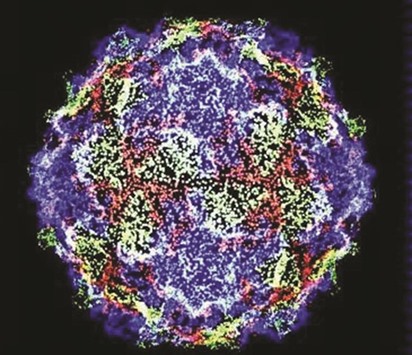 The wild polio virus as seen through a microscope.