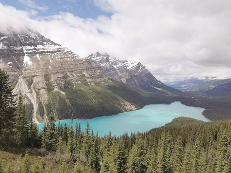 PRISTINE:  Peyto Lake, in Banff National Park, west of the Icefields Parkway.