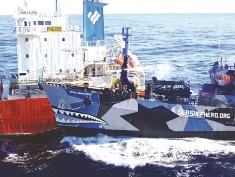 File photo shows the Sea Shepherd ship Bob Barker (right) colliding with the Japanese whaling fleet fuel tanker the Sun Laurel, as Japanese whalers and militant conservationists clashed dangerously in icy waters off Antarctica.