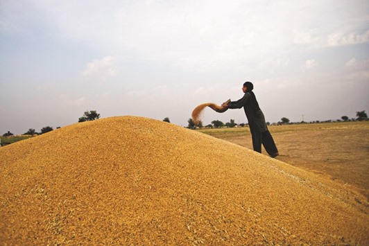 A farmer throws wheat from a bowl onto a mound during a harvest in Fatehganj district of Punjab province, Pakistan (file). In Pakistan, where agriculture constitutes around 25% of the countryu2019s GDP and contributes around 60% of exports and employs 44% of the labour force, the state bank has issued guidelines on Islamic agricultural finance.
