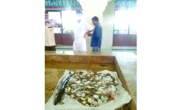 The Health Control Section at Al Wakrah Municipality destroyed around 40kg of rotten fish yesterday.