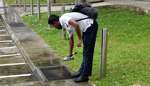 A National Environment Agency worker scatters mosquito pellets in a drainage around the Aljunied neighbourhood in Singapore on Tuesday.