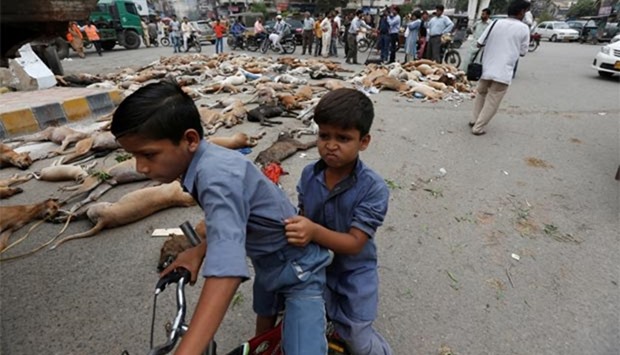 Children react as they ride past the carcasses of dead dogs in Karachi on Thursday.