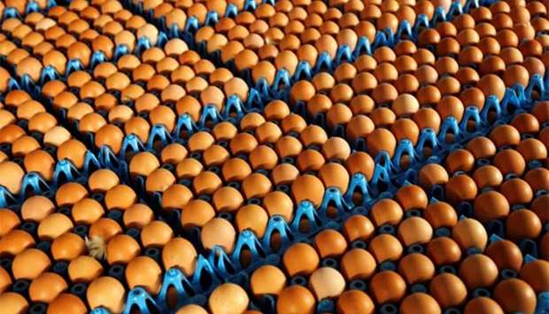 Eggs are packed to be sold at a poultry farm in Wortel near Antwerp, Belgium.