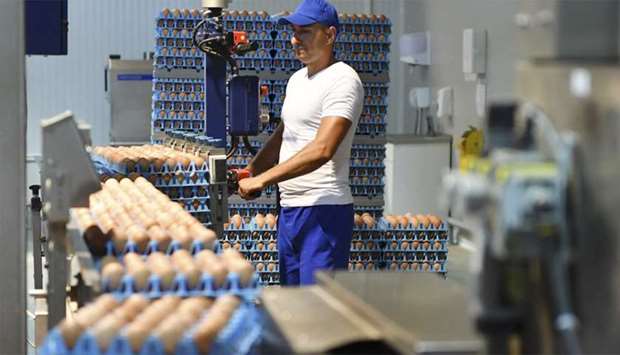 Chicken eggs are processed and packed at a facility