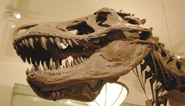 The Gobi Desert is fertile ground for dinosaur fossils such as the Tyrannosaurus Baatar, an Asian relative of Tyrannosaurus Rex that roamed the Earth about 65 million years ago during the Cretaceous period.