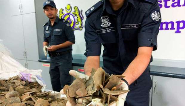 Malaysia customs officers display pangolin scales seized over the weekend