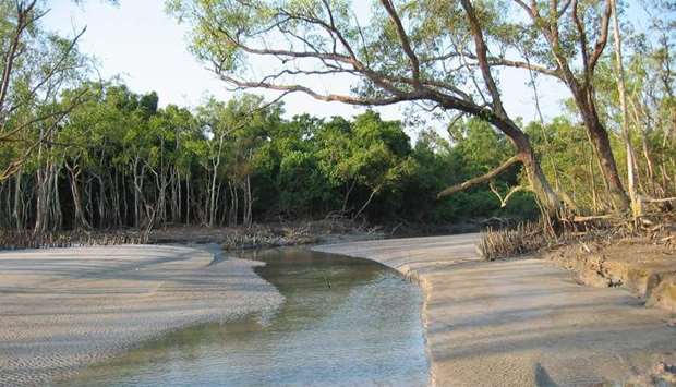 Sundarbans mangrove forest of Bangladesh