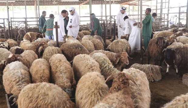 People buying sheep before Eid al-Adha last year.