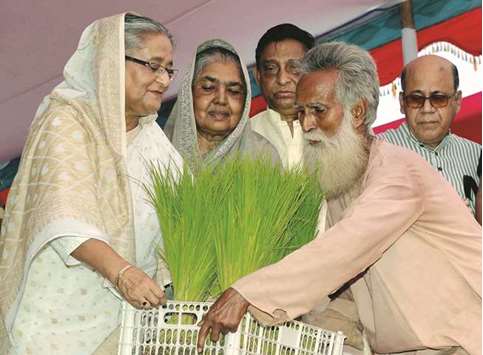Prime Minister Sheikh Hasina giving rice plants to a flood affected farmer yesterday.