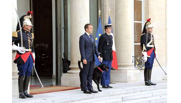 Macron stands outside the Elysee Palace with Nemo.