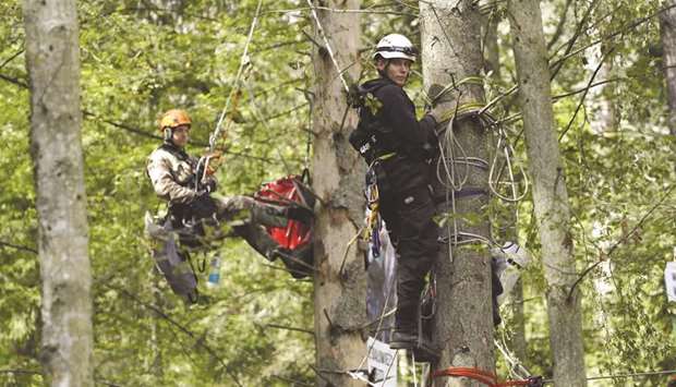 Activists from several countries chain themselves to the trees during their action in the defence of one of the last primaeval forests in Europe, Bialowieza forest.