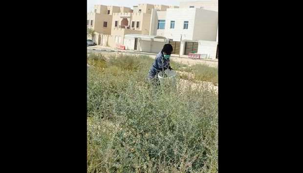 Pest control by Al Khor and Al Thakhira Municipality.
