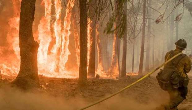 A firefighter tackles blaze as a wildfire burns near Yosemite National Park.