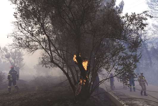 Firefighters are seen near a burning tree near the village of Psahna, in Evia, Greece.