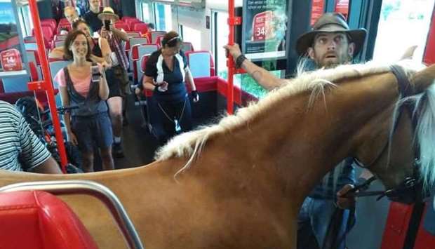 The picture of the horse aboard a train shared on Twitter.