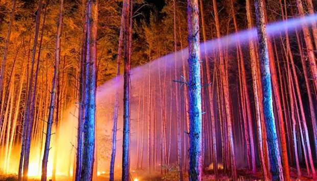 Fire brigades try to extinguish a burning forest on August 24, 2018 in Klausdorf, northeastern Germany. AFP