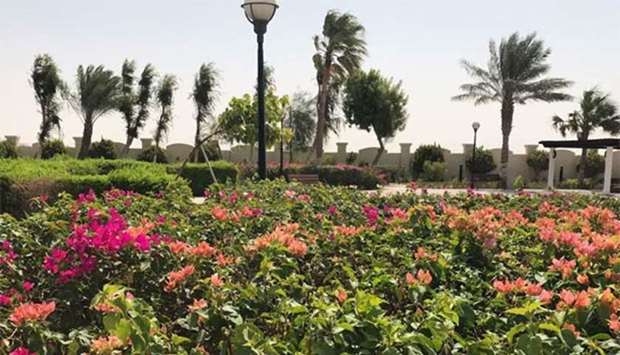 A park in Al Sheehaniya.