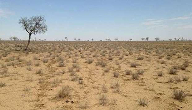 The ground in some areas has become dry in recent months, say locals. 