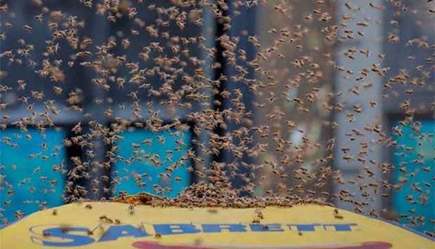 A swarm of bees land on a hot dog cart in Times Square, New York on Tuesday.