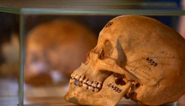 Human skulls from the Herero and ethnic Nama people are displayed during a ceremony in Berlin, Germany, to hand back human remains from Germany to Namibia following the 1904-1908 genocide against the Herero and Nama.