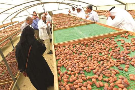 The Agricultural Research Department at the Ministry of Municipality and Environment (MME) has conducted a field trip on how to dry dates.
