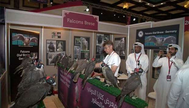 The exhibition will feature falcons from Qatar and other countries.
