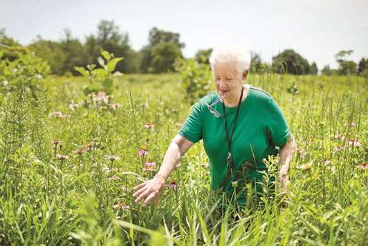 IN THE VANGUARD: Charlotte Adelman visiting the Centennial Prairie Garden in Wilmette, Illinois, which she was instrumental in creating and designing. Adelman is one of the plaintiffs in a federal lawsuit trying to block the construction of the Obama Presidential Center in Jackson Park.